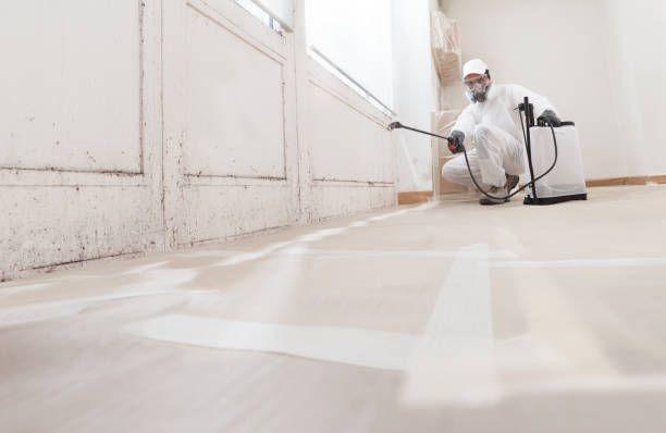 24/7 Emergency Mold Removal experts in Newport, PA